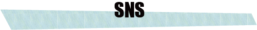 sns